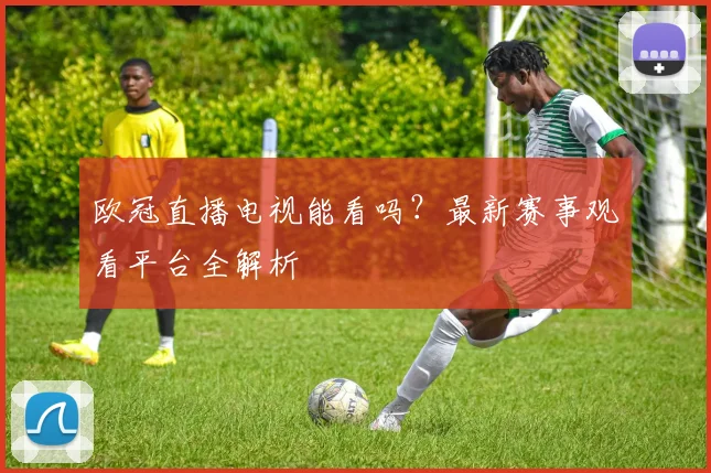 欧冠直播电视能看吗？最新赛事观看平台全解析